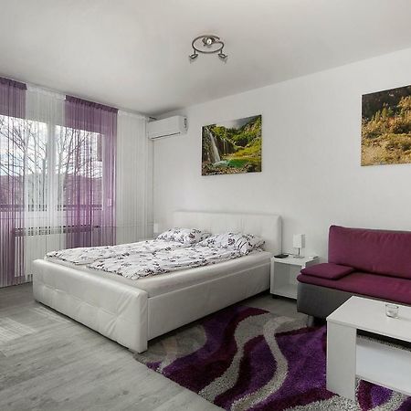 Studio Blue Ivy Plitvička Jezera Exteriör bild